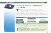 How Living Things Interact T - blogs.4j.lane.edublogs.4j.lane.edu/seager_m/files/2016/04/AGS-Environmental-Science... · How Living Things Interact T ... a chemical pesticide called