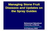 Managing Stone Fruit Diseases and Updates on the …web.extension.illinois.edu/bcjmw/downloads/57281.pdfManaging Stone Fruit Diseases and Updates on the Spray Guides ... and leaf scars
