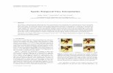 Spatio-Temporal View Interpolation - Robotics Institute Workshop on Rendering (2002), pp. 1–11 Paul Debevec and Simon Gibson (Editors) Spatio-Temporal View Interpolation Sundar Vedula