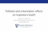 Pollution and urbanization: effects of respiratory health and urbanization: effects ... BOLIVIA ECUADOR Lima 0 m Puno 3825 m Sites ... air pollution directly affect lung disease.