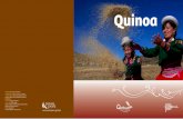 Quinoa - Comercio Exterior | Exportaciones Peruanas | SIICEX · Quinoa is light, tasty and easy to digest. ... Ca. Aurora Boreal 277 Santiango de Surco, ... C & V EXPORT S.A.C. Products:
