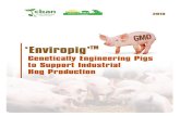 “Enviropig™” gEnEtically EnginEEring pigs to support ... · “Enviropig™” gEnEtically EnginEEring pigs to support industrial Hog production ... to fully digest. changing
