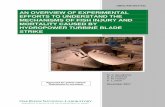 AN OVERVIEW OF EXPERIMENTAL EFFORTS TO … · ornl/tm-2017/731 an overview of experimental efforts to understand the mechanisms of fish injury and mortality caused by hydropower turbine