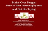 Brains Over Fungus: How to Beat Dermatophytosis and …pschar.pub30.convio.net/resources/resources-documents/11202106...Brains Over Fungus: How to Beat Dermatophytosis ... veterinary