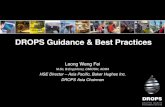 DROPS Guidance & Best Practices - DROPSOnline Guidance and best practice - lwf... · DROPS Guidance & Best Practices ... Independent Dropped Objects Surveys. • The purpose of these