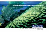 A Coral Reef Sub-theme for the IGOS Partnership A Coral Reef Sub-theme for the IGOS Partnership Table of Contents Executive Summary The Challenge of Observing Coral Reefs Justification
