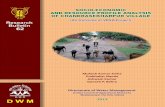 SOCIO-ECONOMIC AND RESOURCE PROFILE …vdsa.icrisat.ac.in/Include/vprofiles/CSPUR.pdfSocio-Economic and Resource Profile Analysis of Chandrasekharpur Village. Research Bulletin No.