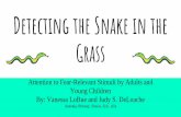 Detecting the Snake in the Grass - UNCW Faculty and …people.uncw.edu/noeln/documents/2017Snakes.pdfDetecting the Snake in the Grass Attention to Fear-Relevant Stimuli by Adults and