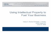Using Intellectual Property to Fuel Your Business - Confexacs.confex.com/recording/acs/green09/pdf/free/4db77adf5df9fff0d3... · Using Intellectual Property to Fuel Your ... • More