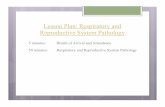 Lesson Plan: Respiratory and Reproductive System … System Pathology (Werner Page 321) Infectious Respiratory Disorders Acute bronchitis Common cold Influenza Pneumonia Sinusitis