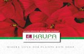 Krupa Brochure-part 1 Final 13-01-15.pdf · Mr. Bapu Survase & Mr. Dada Survase, the founders of Krupa Florals are flower enthusiast with a keen eye for ... Mexican botanist and pharmacologist.