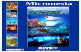 Micronesia - Dive Adventures · Guam Guam, is the gateway to Micronesia. The popular tourism area of Tumon Bay is lined with hotels, resorts, restaurants, shopping malls, designer
