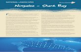 NATIONAL LANDSCAPES Ningaloo – Shark Bay · anchored at the island that now bears his name. ... Other options around Monkey Mia include camel rides on the beach and water activities