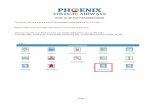 HOW TO SETUP FSPASSENGERS - Phoenix Virtual Airwaysphoenixva.org/lib/documents/FSPassengers v2.0.pdf · Pull up your Flight Simulator cockpit menu. ... NOTE: The Start Cash shown