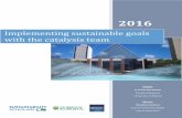 Implementing sustainable goals with the catalysis team · likeliness of succeeding at implementing its sustainable strategy ... that some levers could ... development and execution