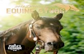 Table of Contents - equinestuds.com · Table of Contents Advertisers Index ... 205 bones. 2015 Equine Studs Directory 7. 8 ... Dr. Matthew Randolph EVHhorse.com 877-633-2146 Mares: