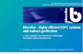 Biocellus - Highly efficient SOFC systems with indirect ...€¦ · Biocellus - Highly efficient SOFC systems with indirect gasification International workshop on "Bio-energy workshop