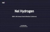 Nel Hydrogen - meetmax.com Hydrogen.pdf · General market update 11 2015 2020 2025 Large scale steam methane reformers Nel large scale alkaline electrolysis $/kW ... General market