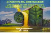 Green Oil as the High-energy Multipurpose Biofuel of Choicesbbq.iq.usp.br/biofuel/presentations/dehesh_2_starch_vs_oil.pdf · Green Oil as the High-energy Multipurpose Biofuel of