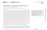 Regulation of Nitrogen Metabolism by GATA Zinc Finger ...msphere.asm.org/content/msph/2/1/e00038-17.full.pdfRegulation of Nitrogen Metabolism by GATA Zinc Finger Transcription Factors