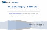 Histology Slides - mediconotes.commediconotes.com/freenotes/basic/histology_laboratory_slides.pdf[Histology] Histology Slides MedicoNotes provides real laboratory Histological slides