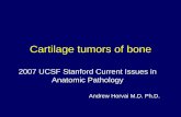 2007 UCSF Stanford Current Issues in Anatomic … UCSF Stanford Current Issues in Anatomic Pathology ... Small round blue cell tumor HPC-ish vessels ... Clear cell chondrosarcoma Clinical