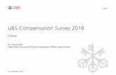 UBS Compensation Survey 2018 - amcham.ch · UBS Compensation Survey 2018 Outlook ... daniel.kalt@ubs.com Follow me!  Twitter: @daniel_kalt . 20 Risk …