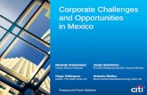 Corporate Challenges and Opportunities in Mexico · Corporate Challenges and Opportunities in Mexico ... phase project took place for LTE ... Remote Deposit Capture