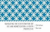 NAVIGATING THE ECOSYSTEM FOR IOT Christian … the ecosystem for iot use and monetization: a youth perspective christian barran