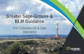 Greater Sage-Grouse & BLM Guidance - RMEHSPG | Home 1 Greater Sage Gr… ·  · 2016-01-26Greater Sage-Grouse & BLM Guidance For Colorado Oil & Gas Operators