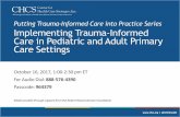 Putting Trauma-Informed Care into Practice Series ... · Putting Trauma-Informed Care into Practice Series Implementing Trauma-Informed ... Key Ingredients for Successful Trauma-Informed