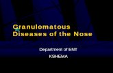 Granulomatous Diseases of the Nose -  ??Granulomatous Diseases of the Nose Department of ENT KSHEMA. ... RHINITIS SICCA Crust forming disease ... Atrophic Rhinitis