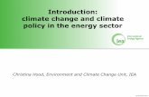 Introduction: climate change and climate policy in the ... · Command and control regulations ... Prohibition or mandating of certain products or practices ... Slide 1 Author: SADIN