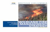 Wildland fire Excellence management strategy ·  · 2016-05-17Fires that burn over forest and range lands are called ... Management Strategy will result in healthier forest ... fire-suppression
