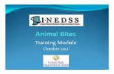 Animal Bites ppt Training Module for I-NEDSS · the animal was capable of transmitting rabies at the time of the biting incident; or (B) ... Animal Bites ppt Training Module for I-NEDSS