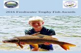 2016 Freshwater Trophy Fish Awards - Connecticut · 2016 Freshwater Trophy Fish Awards. ... Csech, Damien E. Shelton ... East Hampton Strong, Ray East Hampton-0- 0 34.0 6/ 16/2016