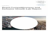Insight Report Brazil Competitiveness and Inclusive … 20, 2017 · Brazil Competitiveness and Inclusive Growth Lab Report 3 Contents 3 Preface 4 Introduction 5 The Competitiveness