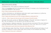 Adhesion molecules and inflammation: Introduction · Adhesion molecules and inflammation: Introduction Inflammation is a disease where cell adhesion plays a critical role. Cell adhesion