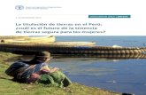 La titulación de tierras en el Perú: ¿cuál es el futuro de la ...“N EN LÍNEA |SÍNTESIS | LA TITULACIÓN DE TIERRAS EN EL PERÚ: ¿CUÁL ES EL FUTURO DE LA TENENCIA DE TIERRAS