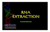 RNA EXTRACTION - Official Portal of UKM EXTRACTION Organic extraction (acidified phenol and chloroform) removes proteins, lipids, and DNA from the RNA sample. RNA is then recovered