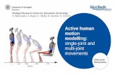 Active human motion modelling: single-joint and multi ... · Active human motion modelling: single-joint and multi-joint ... Journal of Neurophysiology, 95(5) ... Human Movement Simulation