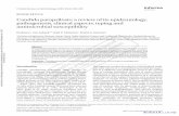 Candida parapsilosis: a review of its epidemiology ... · Candida parapsilosis: a review 285 parapsilosis. There was a difference of frequency of BSI due to C. parapsilosis between