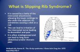 What is Slipping Rib Syndrome? - Home Page | Phoenix ... rib for...What is Slipping Rib Syndrome? • It is caused by a laxity of the ... mobile. • When the ribs are not attached,