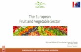 The European Fruit and Vegetable Sector - European ...ec.europa.eu/chafea/shared/agri/docs/upload-html-canada...The European Fruit and Vegetable Sector High Level Mission of Commissioner