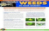CONTROLWEEDSINYOURGARDENWITHTHESEECO ...ourwaterourworld.org/Portals/0/documents/pdf/factsheets...effective eco-friendly Pest control • less-toxic Products Choose eco-friendly products