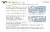 Marine Resistivity Survey on the Lagoon of Venice, Italy. · Marine Resistivity Survey on the Lagoon of Venice, Italy. ...  Page 2 (7) Tel: ... The resistivity …