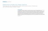 PROTECTION DU BIG DATA - Dell EMC France · PROTECTION DU BIG DATA. Solutions de protection des données pour Hadoop et. le Business Data Lake . RÉSUMÉ. L’analytique Big Data