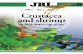 What - Why - How ? Crustacea and shrimp · What - Why - How ? Crustacea and shrimp in freshwater aquarium BROCHURE9. JBL JBL 2 3 If you are just becoming interested in fresh- ...