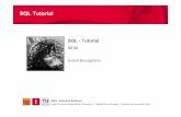 SQL Tutorial - INSO - Home · Software Engineering 2005W | SQL-Tutorial 2 Inhalt des Tutorials 2 Das Relationenmodell 3 Die Datenbanksprache SQL 1 Grundlagen ... GROUP BY Spieler_SpielerNr;