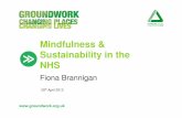 Mindfulness & Sustainability in the NHS ·  Mindfulness & Sustainability in the NHS Fiona Brannigan 20th April 2012